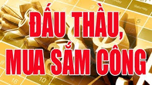 Quyết định số 267A/QĐ-BVTTTG ngày 14/8/2026: Quyết định về việc phê duyệt danh mục tài sản, trang thiết bị, công cụ dụng cụ, vật rẻ tiền mau hòng thanh lý